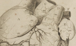 SÉNAC, Jean-Baptiste (1693-1770) Traité de la structure du cœur, de son action, et de ses maladies