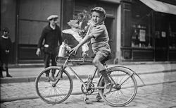 St Denis, 15/7/27, Bouquillon, 6 ans : [photographie de presse] / [Agence Rol] 