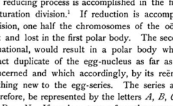 SUTTON, Walter Stanborough (1877-1916) The chromosomes in heredity