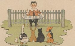 Illustration livre pour enfants : un garçon devant des animaux