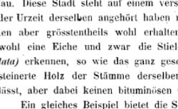 UNGER, Franz (1800-1870) Versuch einer Geschichte der Pflanzenwelt