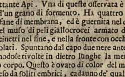 VALLISNERI, Antonio (1661-1730) Dialoghi... sopra la curiosa origine di molti insetti