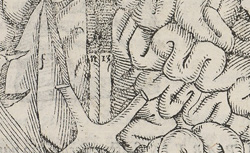 VAROLIO, Costanzo (1543-1575) De Nervis Opticis