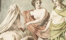 VICQ-D’AZYR, Félix (1748-1794) Traité d’anatomie et de physiologie
