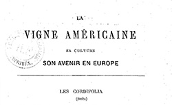 Accéder à la page "Vigne américaine (La) : sa culture, son avenir en Europe"