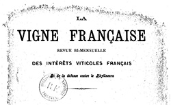 Accéder à la page "Vigne française (La) : revue bi-mensuelle des intérêts viticoles français et de la défense contre le phylloxera"