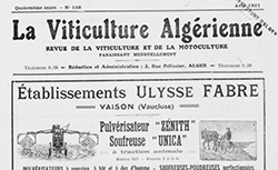 Accéder à la page "Viticulture algérienne (La). Journal des intérêts viticoles et agricoles algériens"