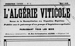 Accéder à la page "Algérie viticole (L'). Revue de la reconstitution des vignobles algériens"