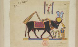 Papiers de J.-Fr. Champollion, Panthéon égyptien, NAF 20323, f. 62