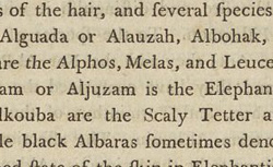 WILLAN, Robert (1757-1812) On cutaneous diseases
