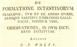 WOLFF, Caspar Friedrich (1734-1794) De formatione intestinorum