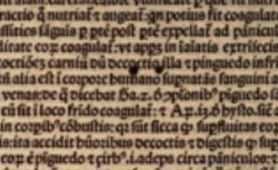 ZERBIS, Gabriele de (1455?-1505) Liber anathomie corporis humani