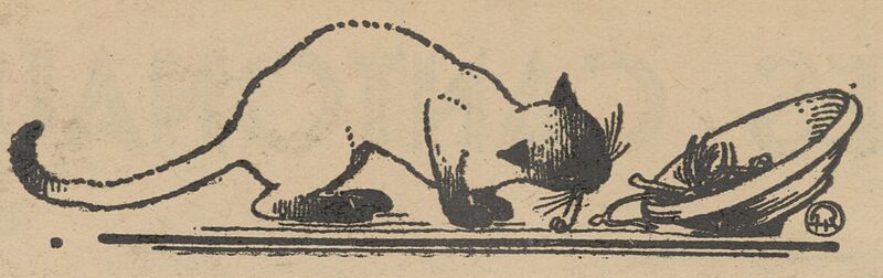 Un chat siamois croque un os de poulet. Image publiée à Bénac et Foix en février 1942 dans le journal : Hardi