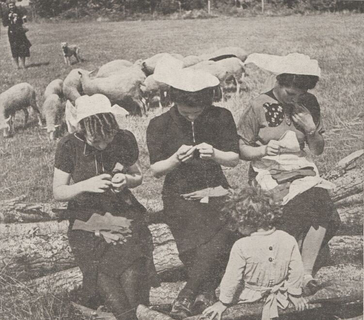 Au royaume des gants. Image publiée à Limoges en mai/juin 1942 dans le journal : Notre province