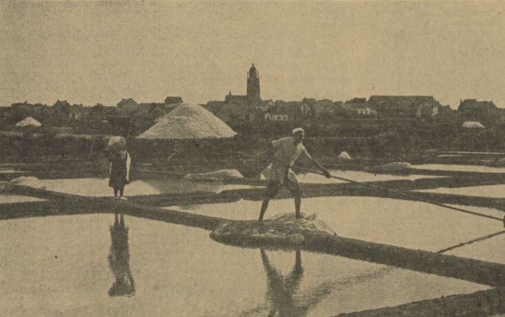 Dans le blanc marais guérandais : que ferons-nous de notre sel ? Image publiée à Saint-Nazaire le 25 août 1934 dans le journal : Le Courrier de Saint-Nazaire & de la région